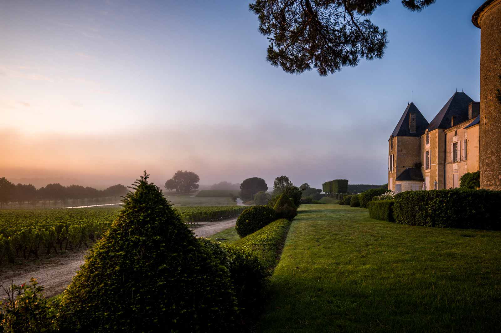 Blick auf das Chateau im Nebel